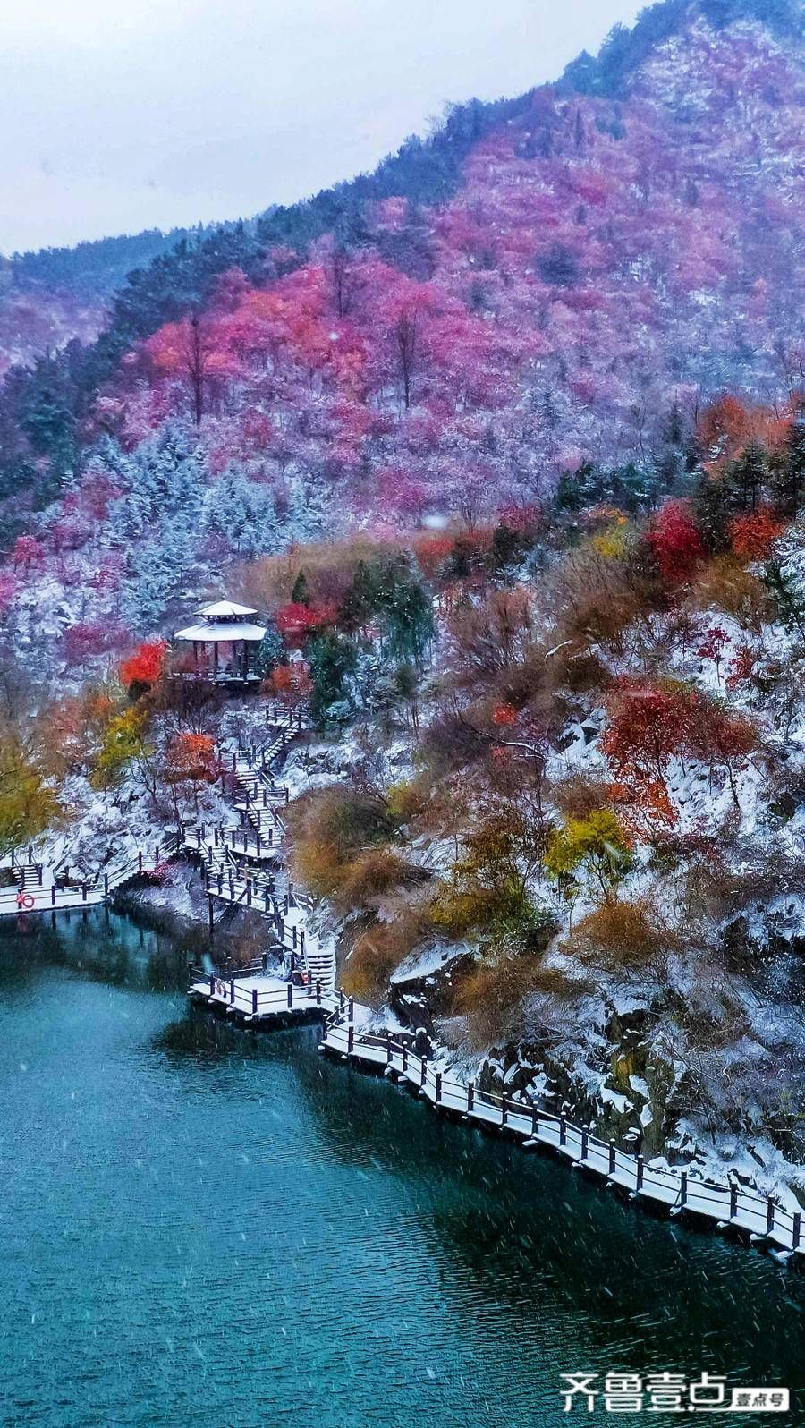 老舍|雪是大浪漫，最妙的是下点小雪呀