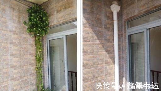 仿真|卫生间装修,老师傅直接用一棵“树”包水管,还说很多人没见过!