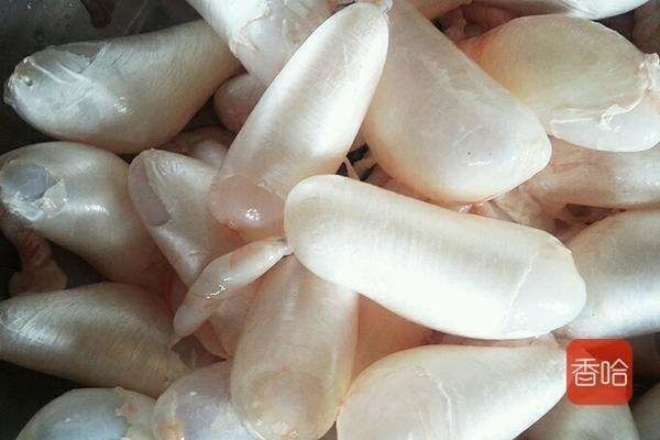 它叫鱼却不像鱼,无骨无刺,孩子常吃补钙补脑,贵也要常做孩子吃