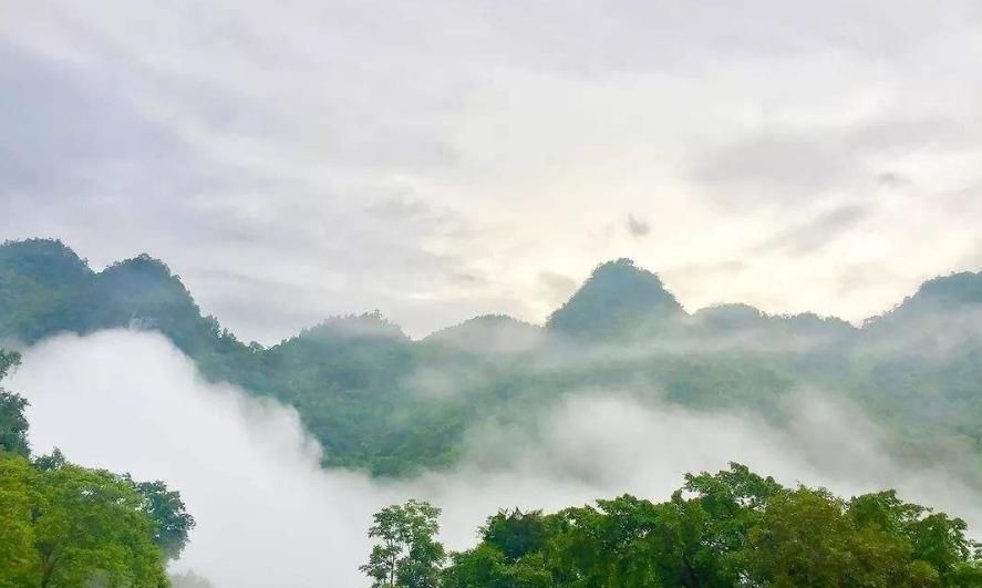 陶渊明!辛弃疾自己很喜欢的一个千古名句,经常在酒宴上问旁人:写得如何
