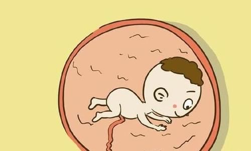 都说吃鸡蛋好,可孕期吃鸡蛋有禁忌,吃错了反而伤胎