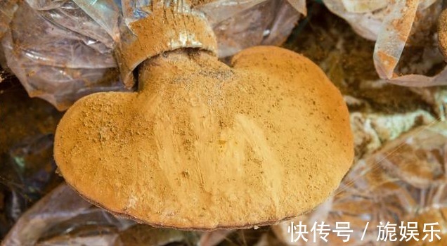 睡眠质量|调理失眠不要总是吃药,牢记1个土方,安睡8小时,一觉到天亮