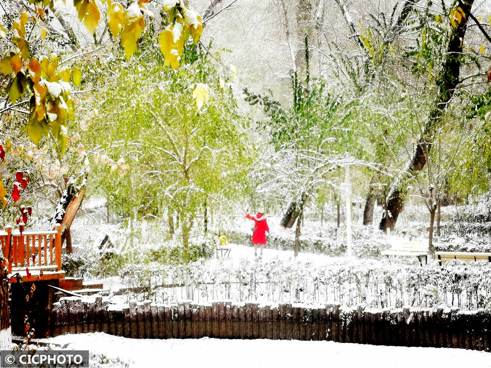 豫园|新疆哈密迎来降雪降温天气