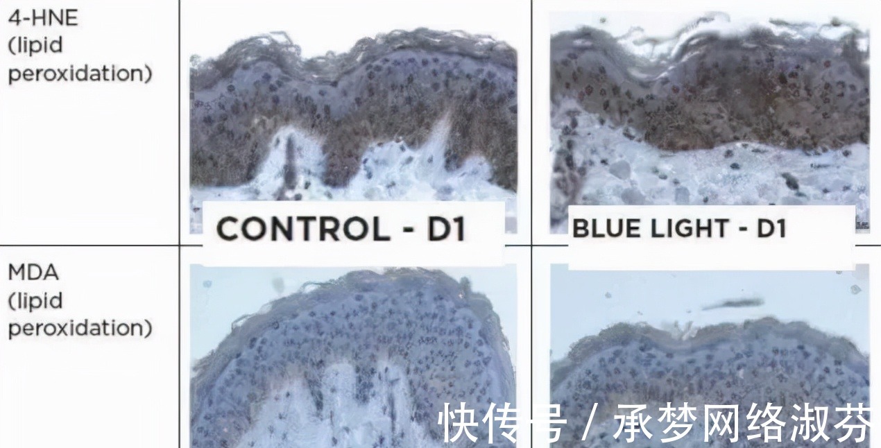 visi美肌‖从内到外，如何让肌肤层层通透起来？