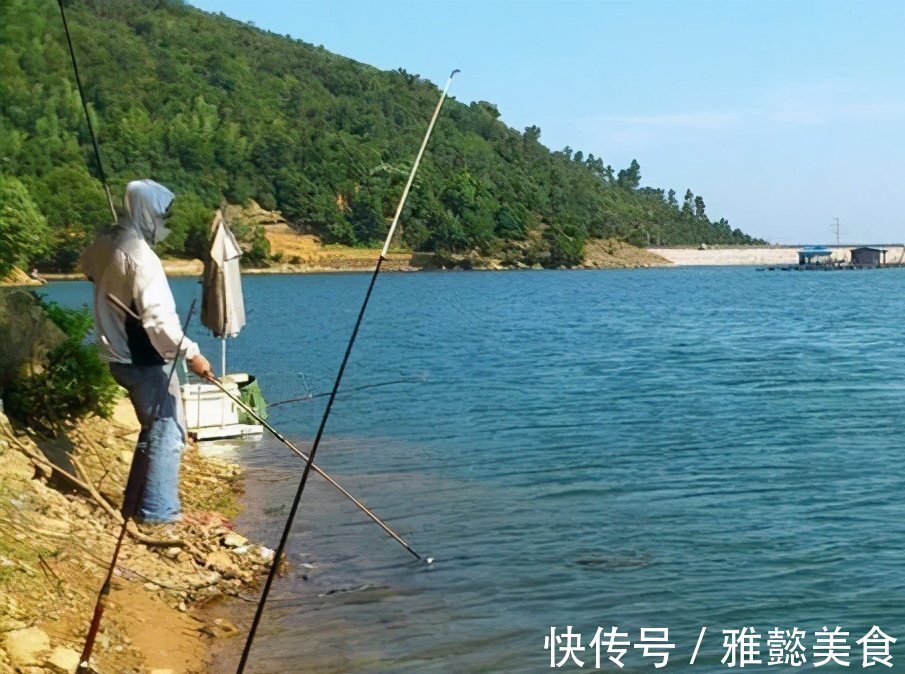 大鱼|钓鲤鱼选对饵料才能钓大鱼,饵料按照这样去做,不咬钩都难