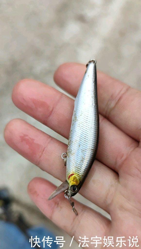 枯水期|珠江水浅,这群深藏水底的“鱼”浮出,有人钓了一大堆