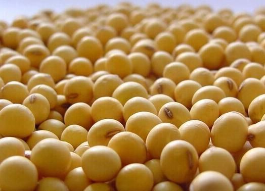 女性再節儉,也要多吃4種“土燕窩”,活血美容,60不顯老