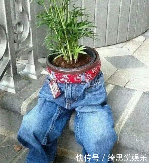 他用这东西养花,把半夜踩点的小偷吓半死,长势旺到不行!