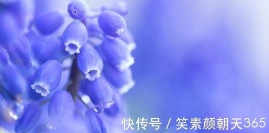 射手座|未来一个月,与旧爱复合成功,前任主动找你和好如初的四个星座