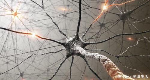 萃枫苷|6张图6个成语，看你痴不痴呆？看出5张的才算正常！很多人怕了