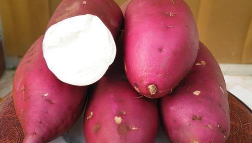 老便秘的“克星”来了,每天吃一点,肠道顺畅,大肚腩也不见了