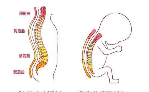 家长|不要对月子里新生儿做9件事，家长早知道早避坑，别影响娃的发育