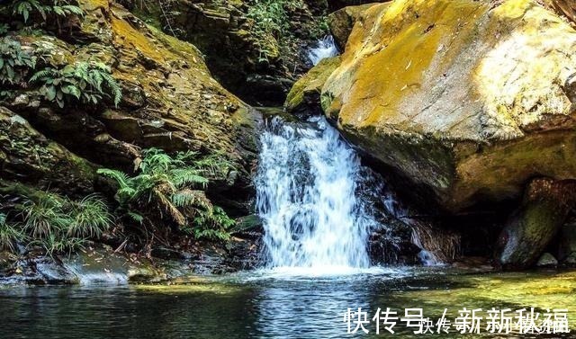 红楼梦|“弱水三千，只取一瓢饮”中“弱水”是啥意思原来与一传说有关