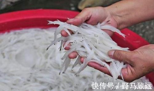 买鱼时，优先选择这6种鱼，肉多刺少营养也高，贵也要多给孩子吃