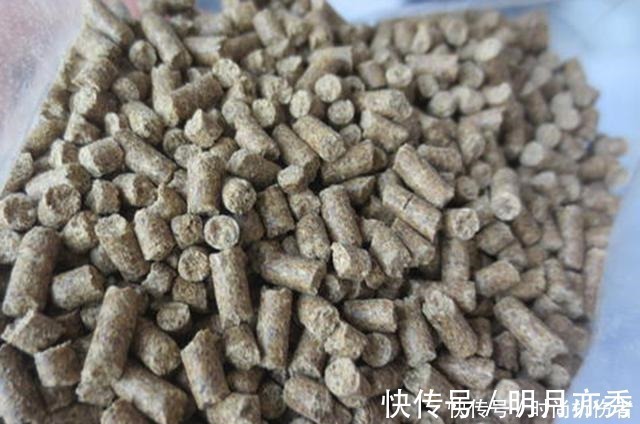 钓鱼|鲫鲤通杀鱼饵配方公开，钓鱼用它旁边钓位鱼都不开口