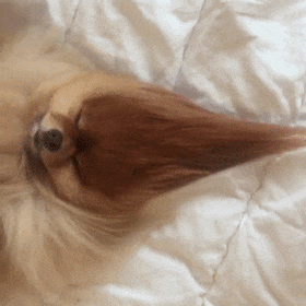 |搞笑GIF:看仔细了,我只教一遍,剩下的你们自己看着练