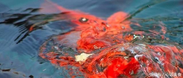 嚣尘|王勃去郊外踏青,写下一首诗,开篇两句便惊艳了整个春天!