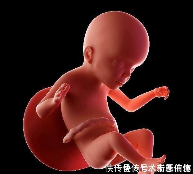 坏事|四维做到一半,小家伙竟然在妈妈腹中干“坏事”,连医生都乐了