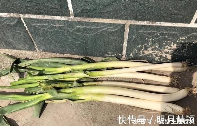 冬季大葱保存,做到这四点,大葱能从年前吃到年后,还一直新鲜!