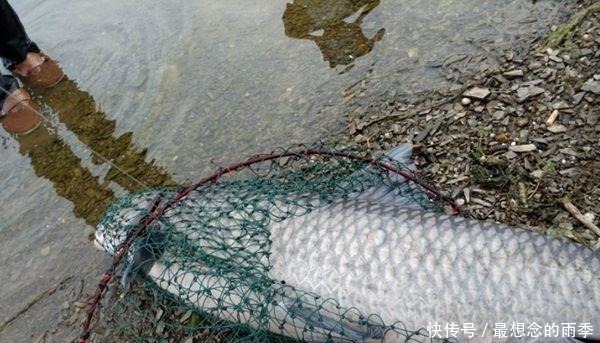 钓箱|只要去钓鱼,这些诡异的糗事,就必然会发生