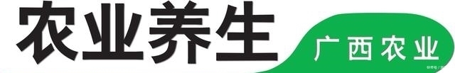 食物|小小猪血作用大,吃时切记避开这几样食物,这么吃才好哦!