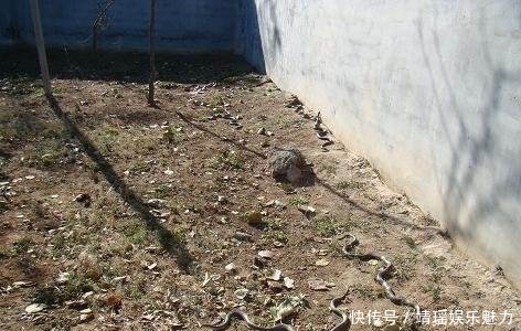 银枪|赵云墓为何千年无人敢盗？专家也无计可施