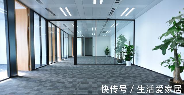 寓意|4种植物挺着“大肚子”,摆在客厅,不但寓意好,而且耐旱好养