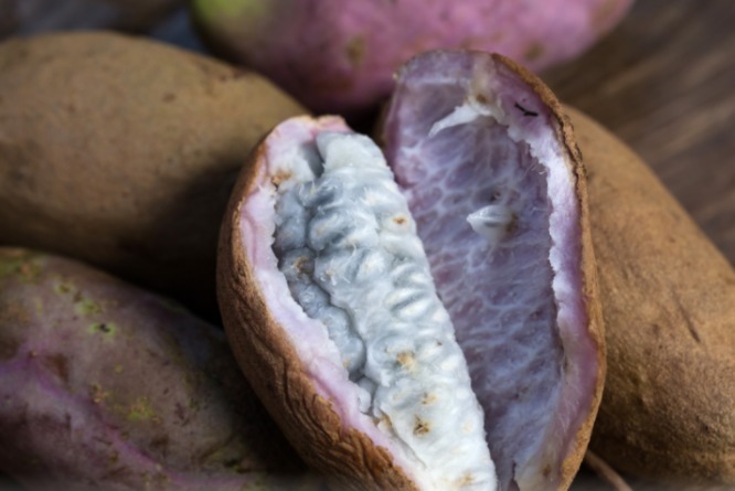 食用价值|农村即将“消失”的野果子,吃过4种正常,全吃过的说明您真老了