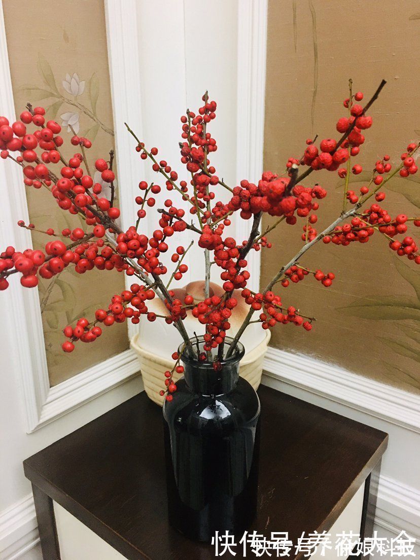 高山杜鹃|4种花贵气十足,养在家里有格调,等我有钱了一定要买