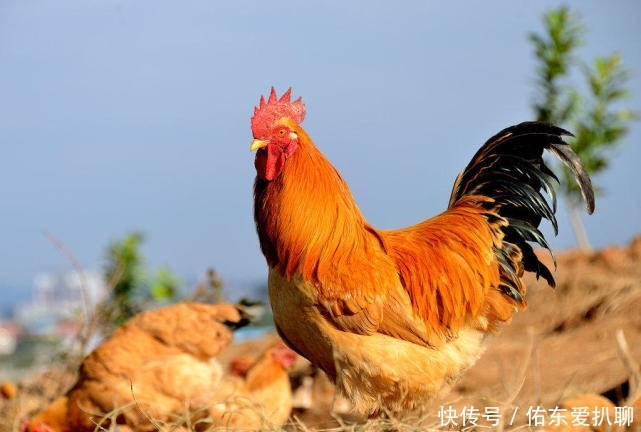  中国|中国最特殊的3大姓氏，很多女性不好意思说出口，只能无奈改姓！