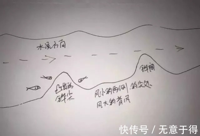 支流|不知道鱼儿藏在哪儿?我帮你画了5张图,随便挑一个就能爆护