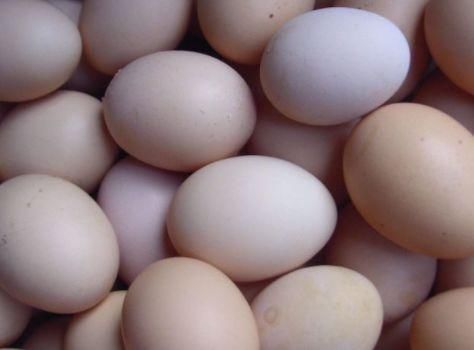 营养物质|空腹吃这三种食物,就很容易“瘦”,难怪一个人能减10斤