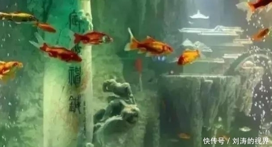 花了13.8吨玉石,只为做一个鱼缸,有钱任性!