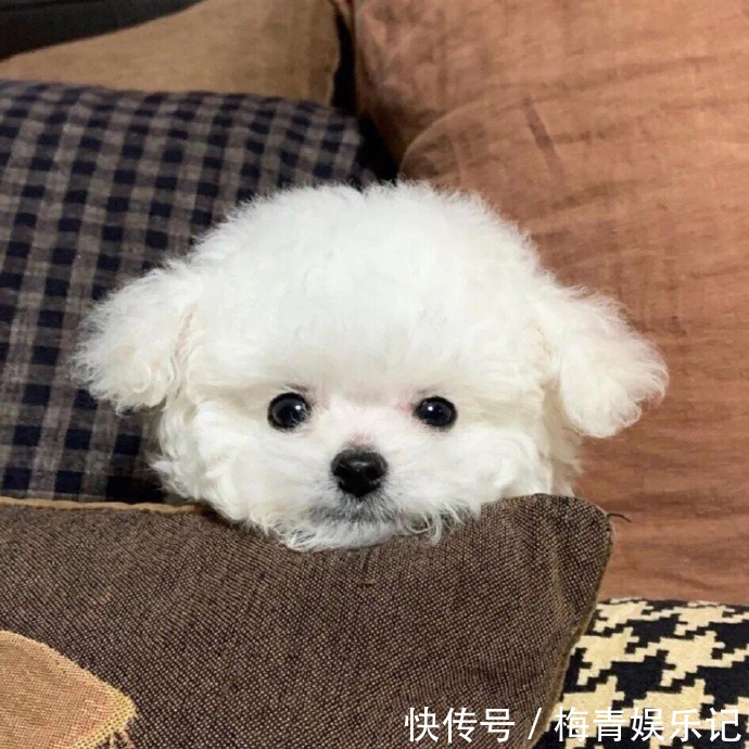 |十条笑话:受益人是我儿子,你就别指望了!