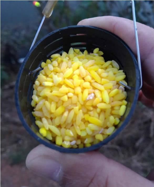 钓友|打窝了却没鱼进窝不一定是窝料不行,多半是这几个原因在拖后腿