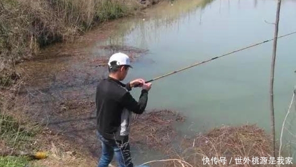  阴天|冬季钓鲫鱼，天气选择是根本，这些天气鱼开口好，渔获更有保证