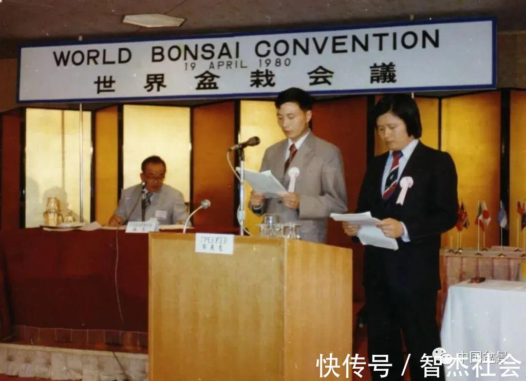 盆景@赵庆泉:请别叫我“大师”,我就是个“做盆景的”