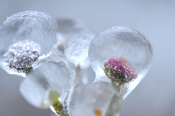 总有一场风雪，为你而来