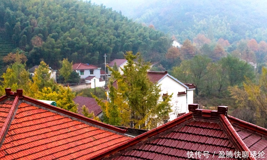 柿子|长兴有一个美丽的小山村，它的名字叫石岕口，仿佛静谧的山水画般