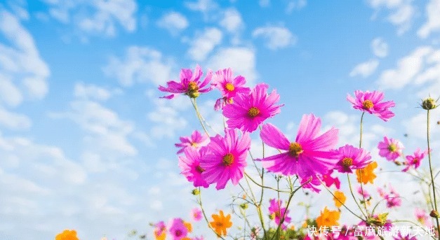 故事|《四世同堂》主要讲述的是几代家庭在战争中的悲欢离合故事