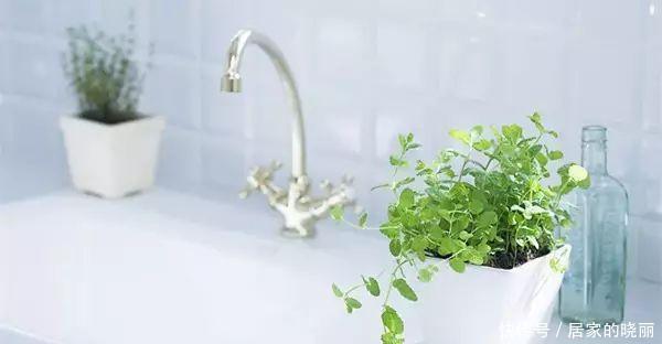 解决|土壤板结不必再换土了,简单一招教你完美解决