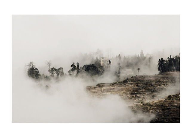 变局|“变局”之下，墙布企业何以安身？