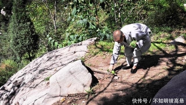 净土|终南山当真是避世圣地？如今已变成网红打卡地，一方净土难坚守