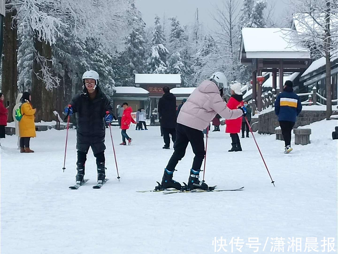 北京冬奥会|一周来张家界国家森林公园接待游客超2万人，同比增长7倍