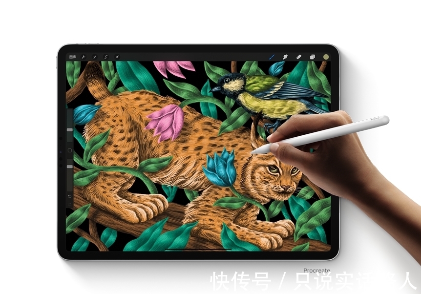 平板|买2021年款的Apple iPad Pro平板电脑，应该注意哪些问题