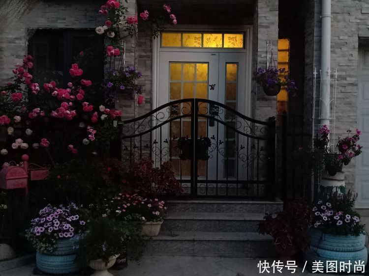 美好时光|花园改造：3年前买了栋带170㎡花园的房子，过上种花草的乡村生活