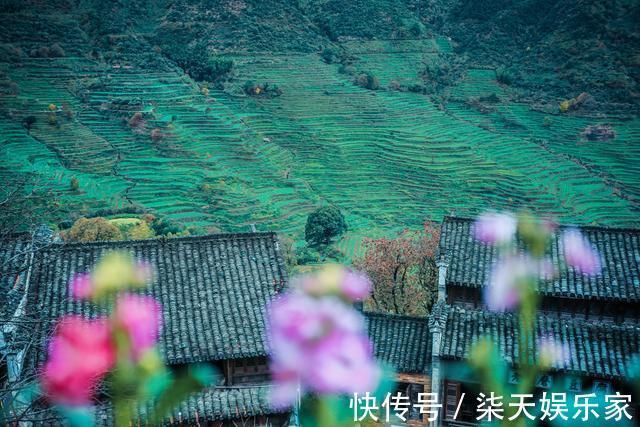 李坑|网红地婺源有很多景区，但去这一个就够了，它汇集众多景区的特色