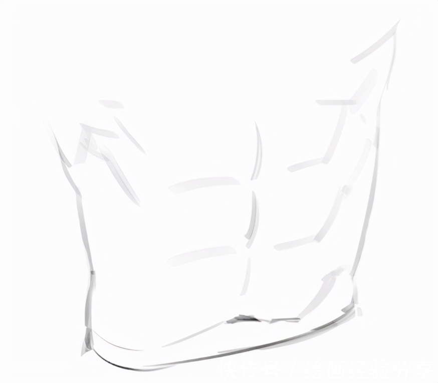 灵猫课堂|练不出腹肌我们可以画腹肌!教你腹肌上色的画法技巧!