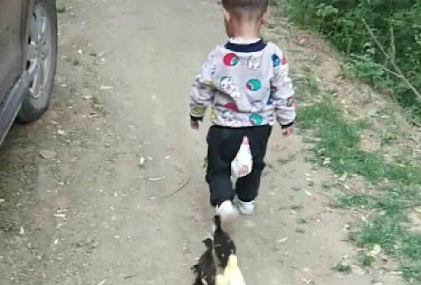 孩子|孩子拒绝母亲陪同散步,说是跟小鸭子约好了,她跟过去一看乐坏了