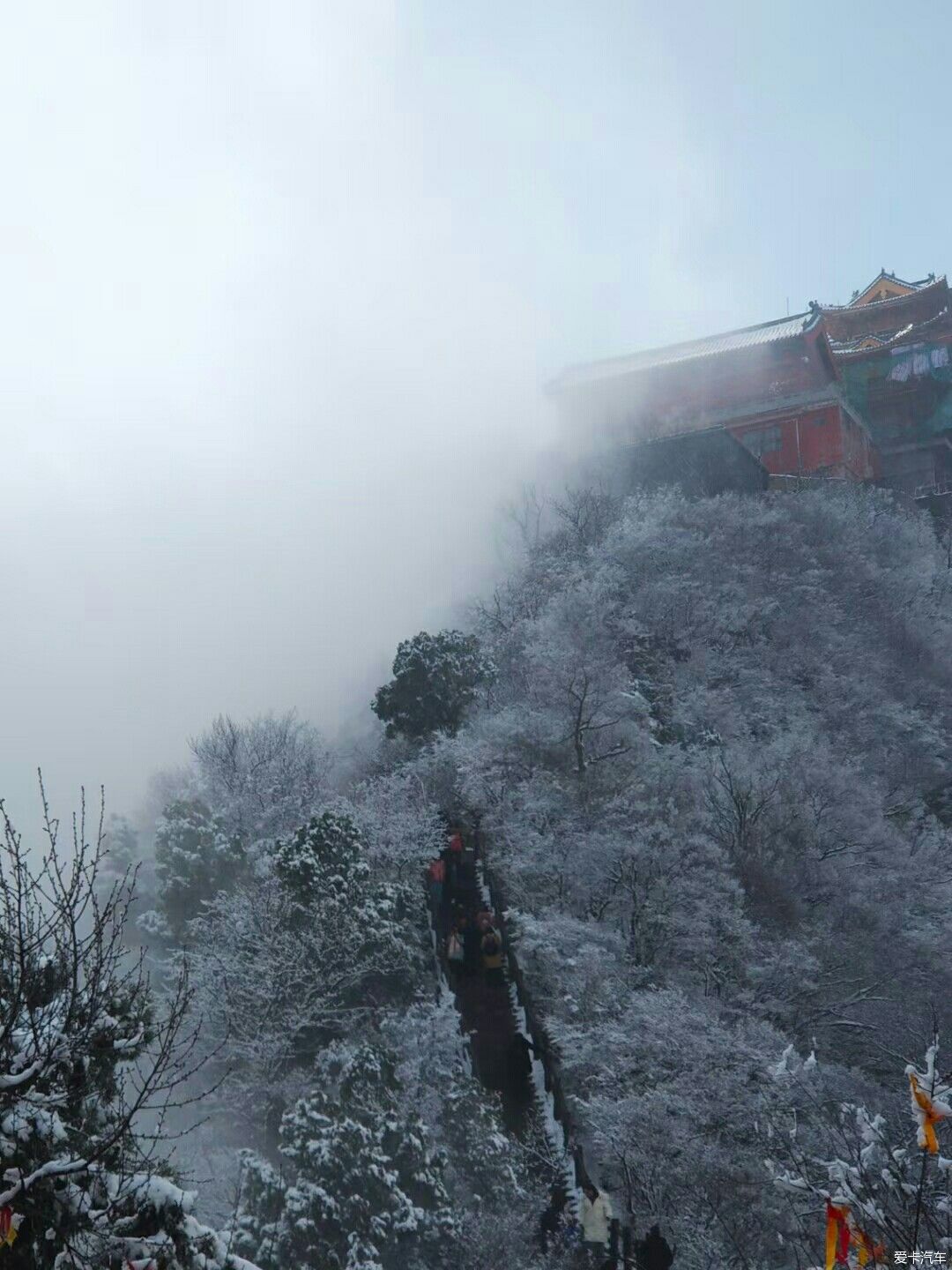 冬天的精灵————雪